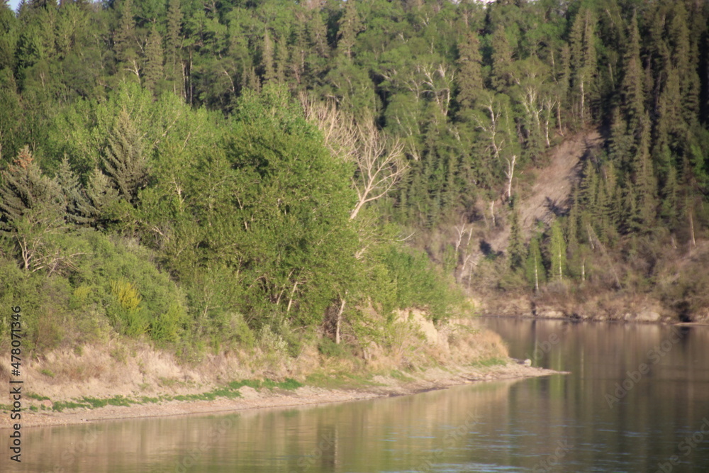 Obraz premium Trees At The Riverbend, Gold Bar Park, Edmonton, Alberta