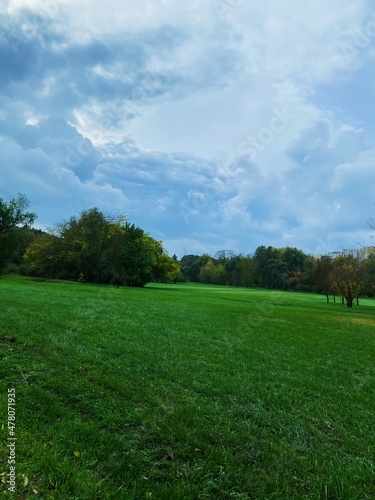 Fototapeta Naklejka Na Ścianę i Meble -  green grass and blue sky