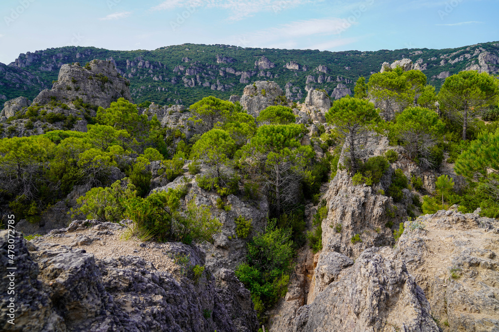dolomites of Moureze in Herault region rock stones peaks of different sizes in forest french