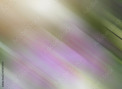 Blurred Background Pink Mixed Purple Green Abstract Multi Color Gradient Flowing.