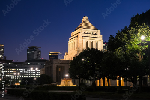 東京都千代田区 夜の国会議事堂 photo