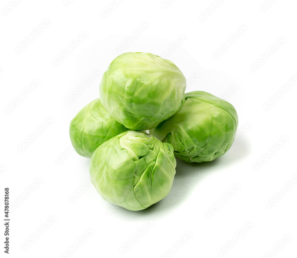 Fototapeta premium Brussels Sprouts Isolated, Brassica Oleracea Cabbage