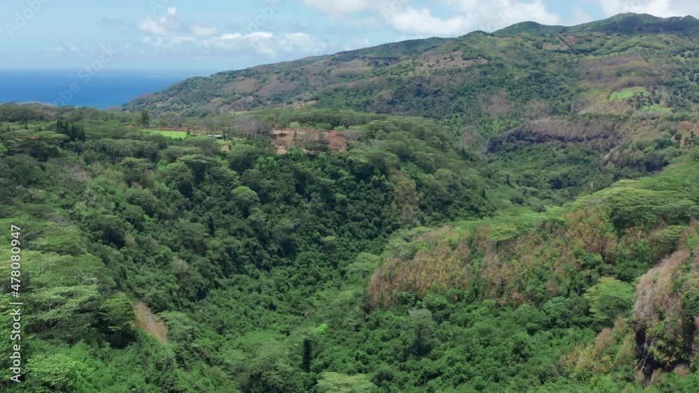 landscape of a pacific island with lagoon in aerial view. Green jungle. landscape of a pacific island with lagoon in aerial view. Green jungle.