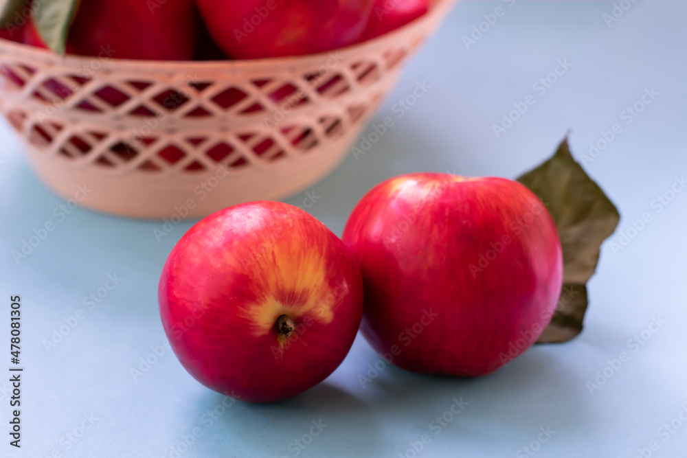 Ripe mature homegrown red apples on blue background. Close up vegetarian organic food