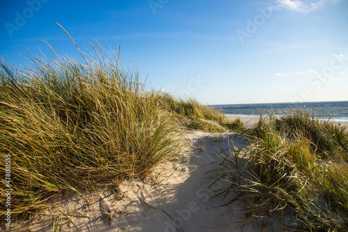 Fototapeta Naklejka Na Ścianę i Meble -  Sand dunes at the North Sea