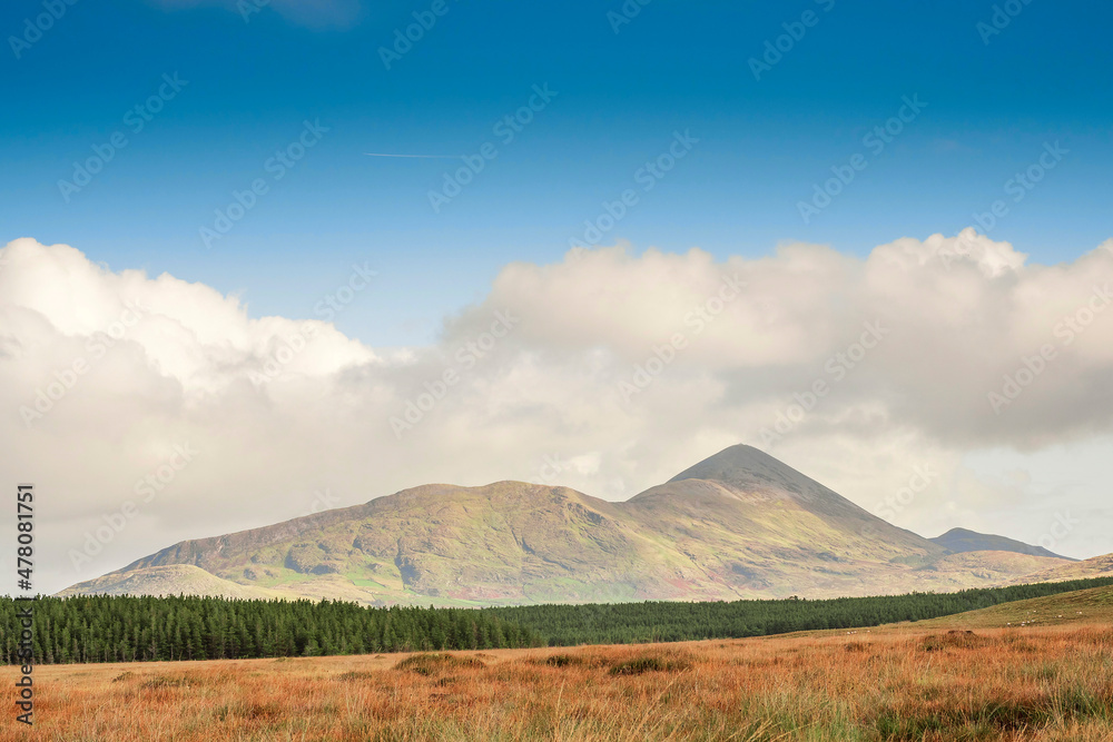 Empty field and green forest in foreground. Croagh Patrick in the background. Warm sunny day. Cloudy sky. County Mayo, Ireland. Irish landscape.