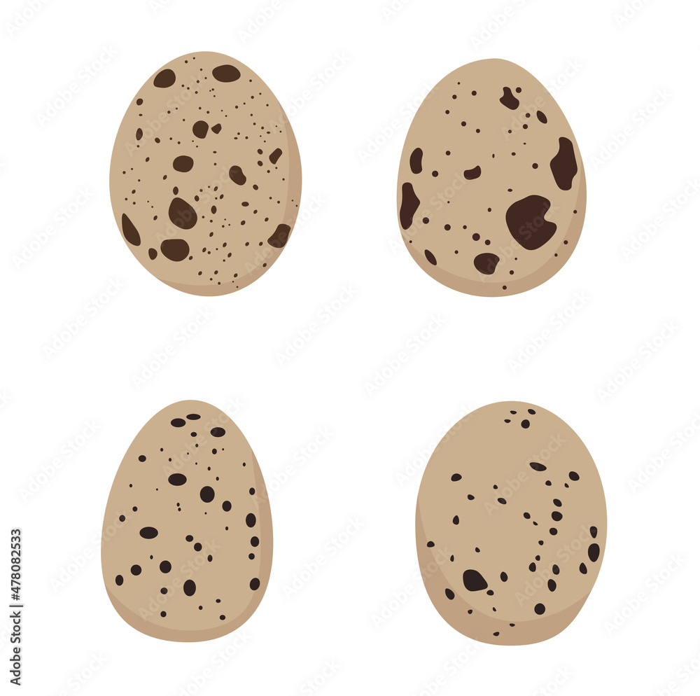 Quail eggs. Vector stock illustration. Isolated on a white background. Quail eggs. Vector stock illustration. Isolated on a white background.