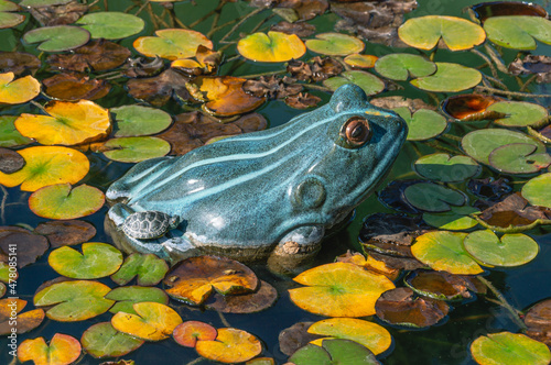 Ceramic figurine of a frog in a freshwater pond. A small turtle climbed on a ceramic frog figurine in a freshwater pond © Eduard Belkin