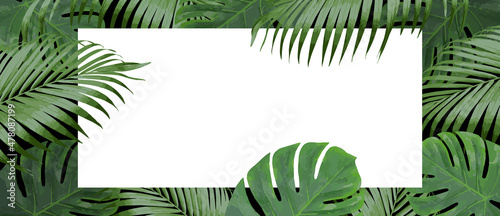 Realistic monstera and palm leaves with blank white paper. Modern background for your design. Illustration for birthday, party card, invitation, fashion, presentation. Copy space for your text.