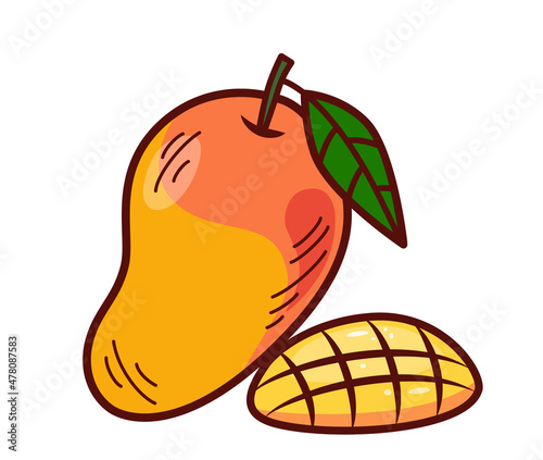 Mango fruit isolated on white background, vector illustration of whole and slice mango with leaf, color icon of fruit in outline style