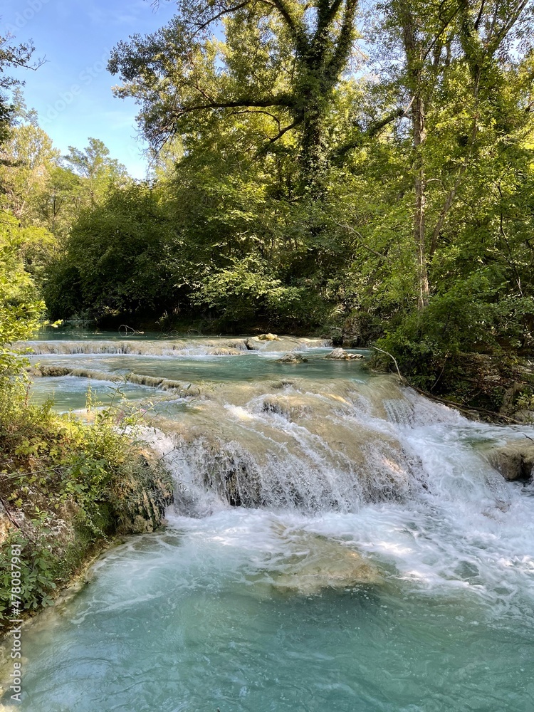 Obraz premium waterfall in the woods