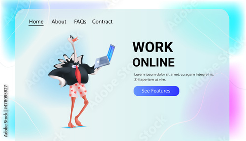 business ostrich using laptop animal work online concept horizontal copy space