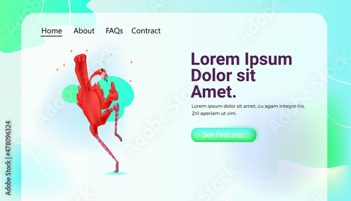 cute ostrich funny animal having fun horizontal copy space