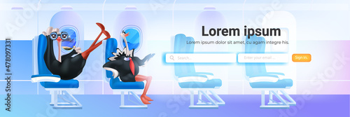 ostriches passengers sitting in airplane business trip vacation traveling concept plane interior