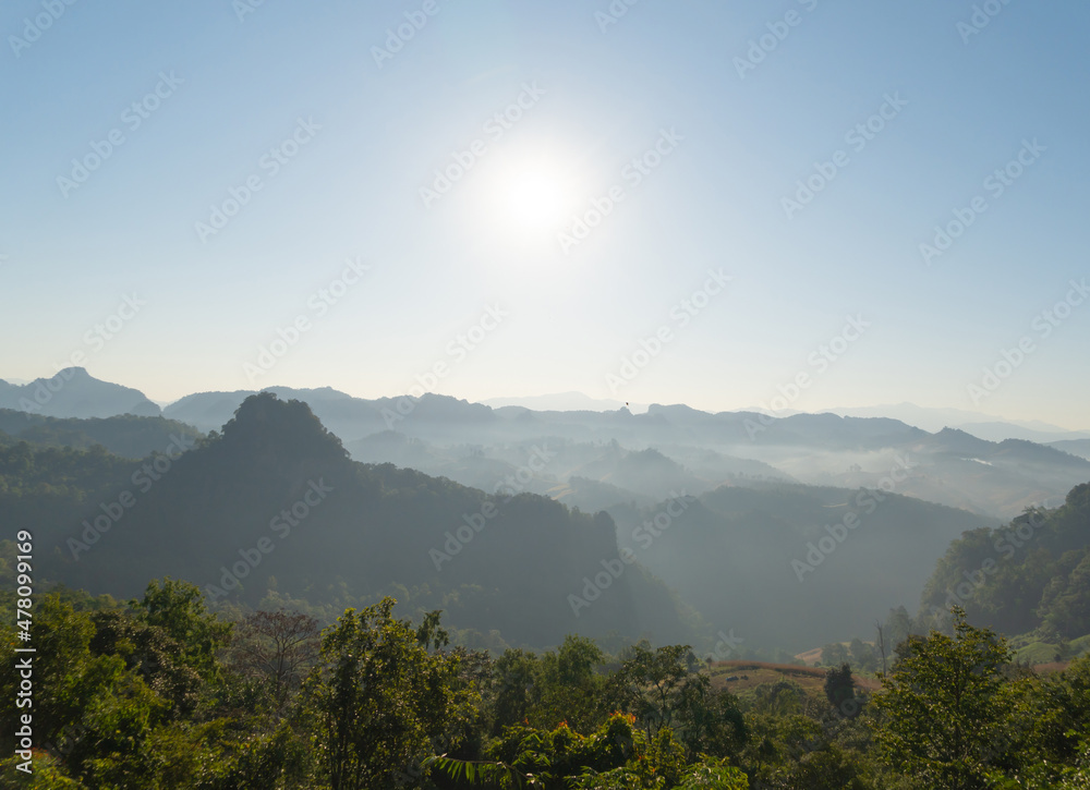 Aerial top view of forest trees and green mountain hills with sea fog, mist and clouds. Nature landscape background, Thailand.