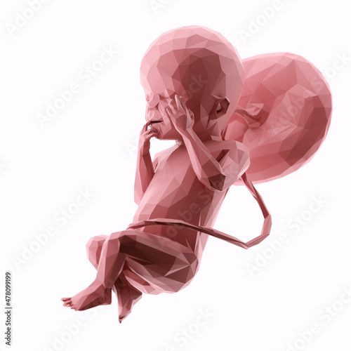 3d rendered illustration of an abstract human fetus - week 23