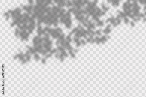 Realistic shadow tropic leaves and branches on transparent checkered background.