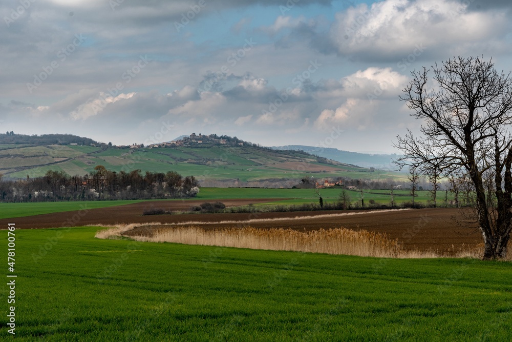 Paysage de printemps avec en premier plan une haie de graminées et au fond un village sur une colline Paysage de printemps avec en premier plan une haie de graminées et au fond un village sur une colline