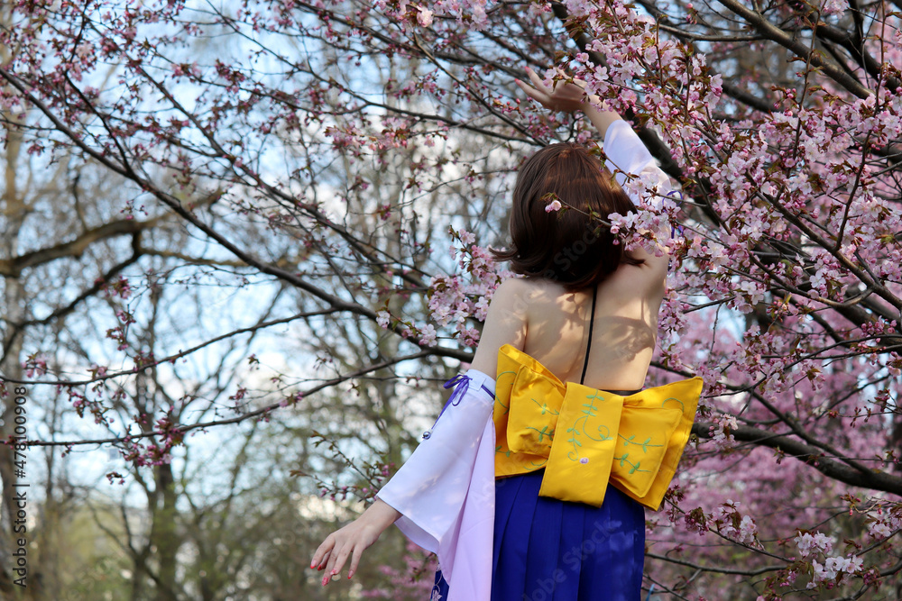 Girl in a traditional Japanese dress standing near the blooming sakura tree, rear view. Cherry blossom season, asian beauty and culture Girl in a traditional Japanese dress standing near the blooming sakura tree, rear view. Cherry blossom season, asian beauty and culture