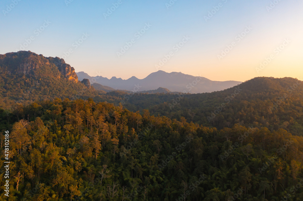 Aerial top view of forest trees and green mountain hills. Nature landscape background, Thailand.