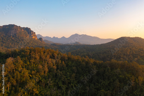 Aerial top view of forest trees and green mountain hills. Nature landscape background  Thailand.