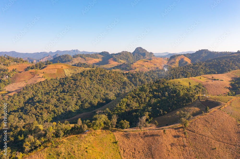 Aerial top view of forest trees and green mountain hills. Nature landscape background, Thailand.