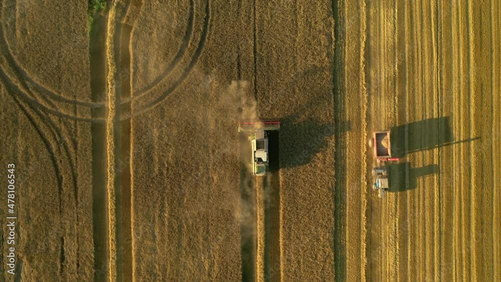 Drone flies over harvesters working in a wheat field on a sunny day. Filmed in 4k, drone video. Drone flies over harvesters working in a wheat field on a sunny day. Filmed in 4k, drone video.