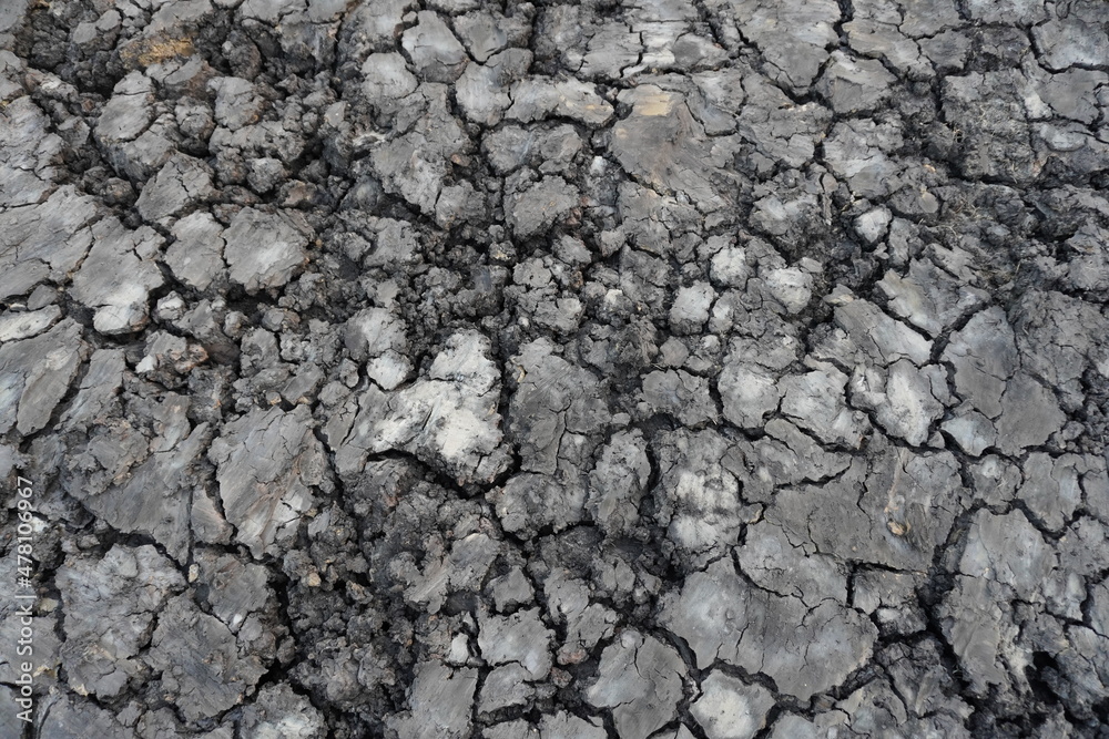 soil texture