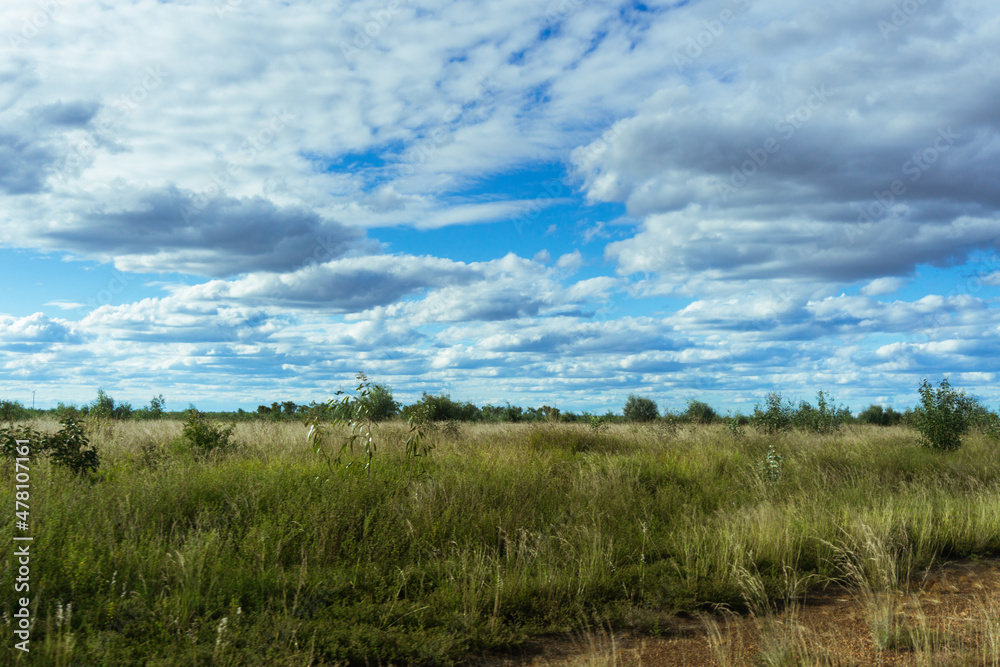 clouds over the field