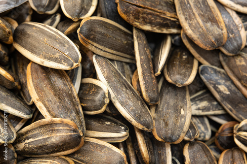 Background photo of sunflower seed grains. Macro view of roasted black sunflower seeds. Sunflower seeds in the middle and left, in selective focus.