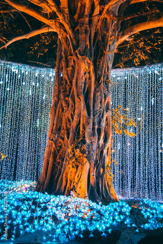 Buddhist tradition light festival in Ratchaburi, Nasatta, Thailand photo