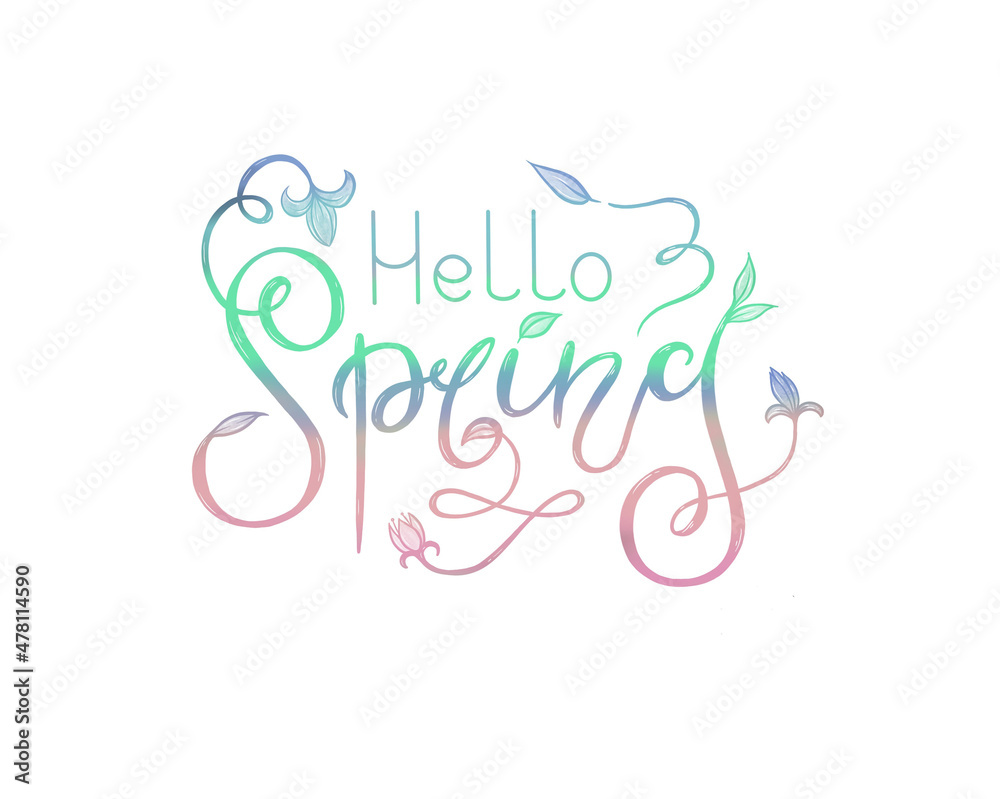 Hello spring lettering hand drawn mermaid flover leaf calligraphy