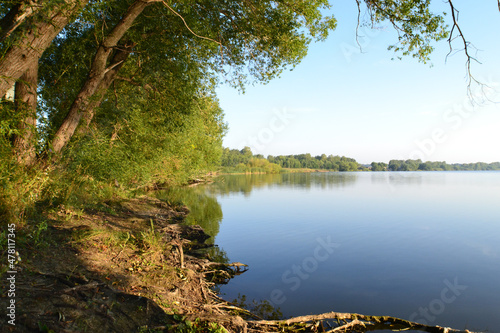 Fototapeta Naklejka Na Ścianę i Meble -  Lake with trees and coast on a sunny summer day