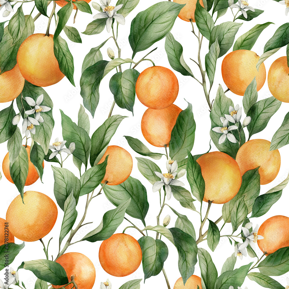 Foto auf Acrylglas mit Aquarell Musterdesign mit Zweigen reifen Orangen. Handbemalter Zitrusschmuck für Geschenkpapier, Druck, Stoff oder Scrapbooking. #478122761