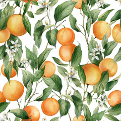 Ingelijste posters Oranje patronen Aquarel sinaasappeltakken citrus dessin  © Aleksa