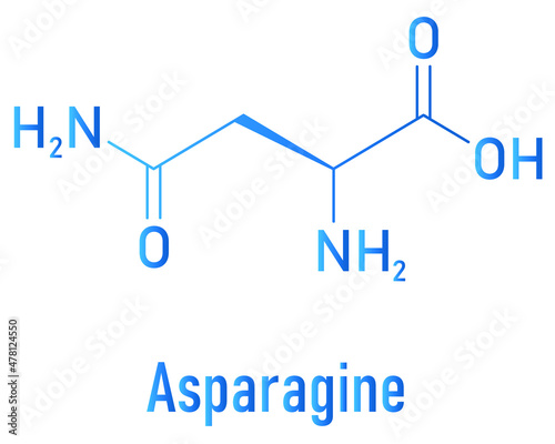 Photos Asparagine or L-asparagine, 2-Amino-3-carbamoylpropanoic, Asn, N, amino acid molecule