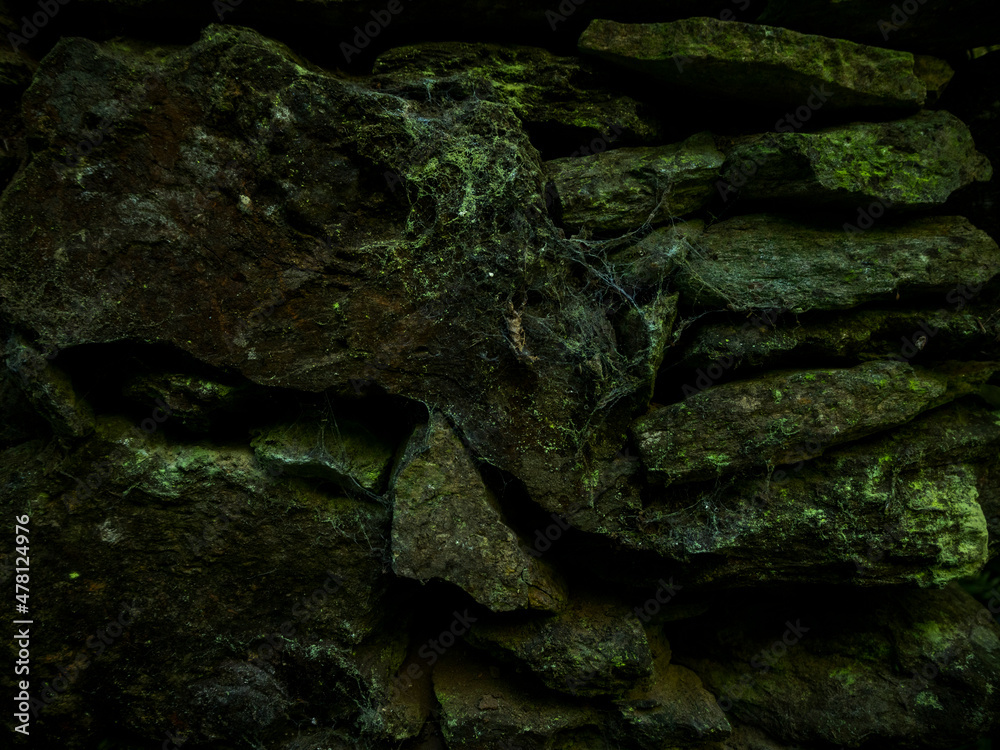 textura pared de piedra llena de musgo verde 