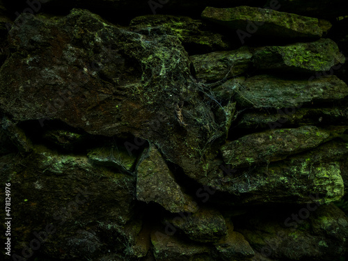textura pared de piedra llena de musgo verde  © carles