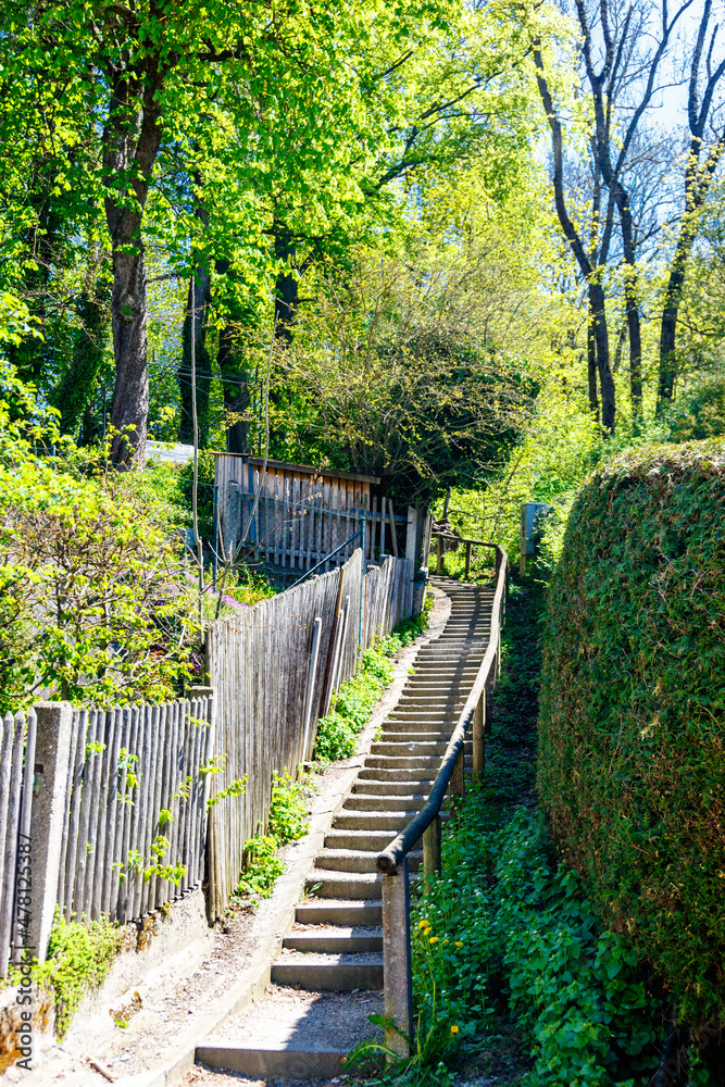 Long empty flight of steps leading to woodland Long empty flight of steps leading to woodland