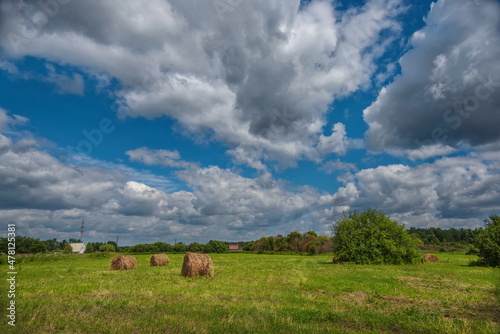 haystacks on a green meadow  © Anatolii 