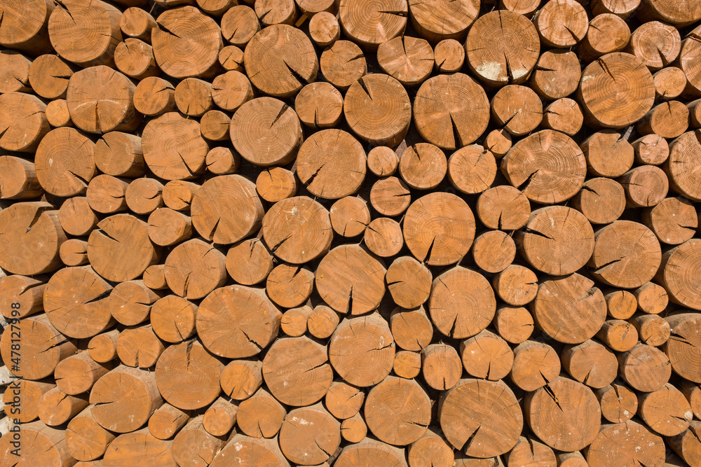 Wood cut texture with tree rings. Decorative wall Background Wood cut texture with tree rings. Decorative wall Background