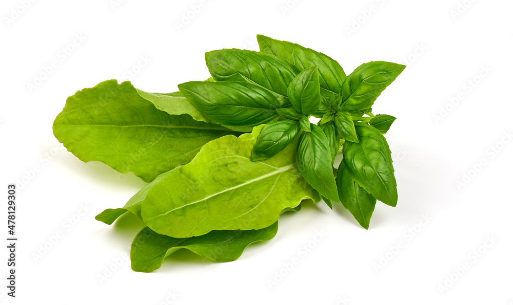 Fresh leaves of spinach, isolated on a white background. Fresh leaves of spinach, isolated on a white background.