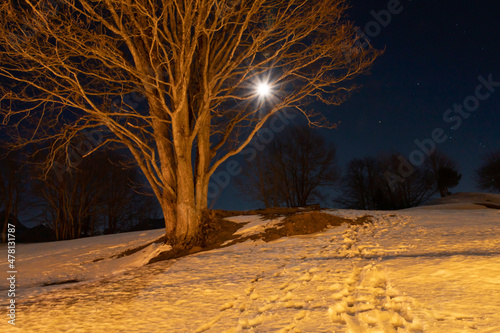 Saint Margrethenberg, Switzerland, December 19, 2021 Full moon over a snow covered field photo