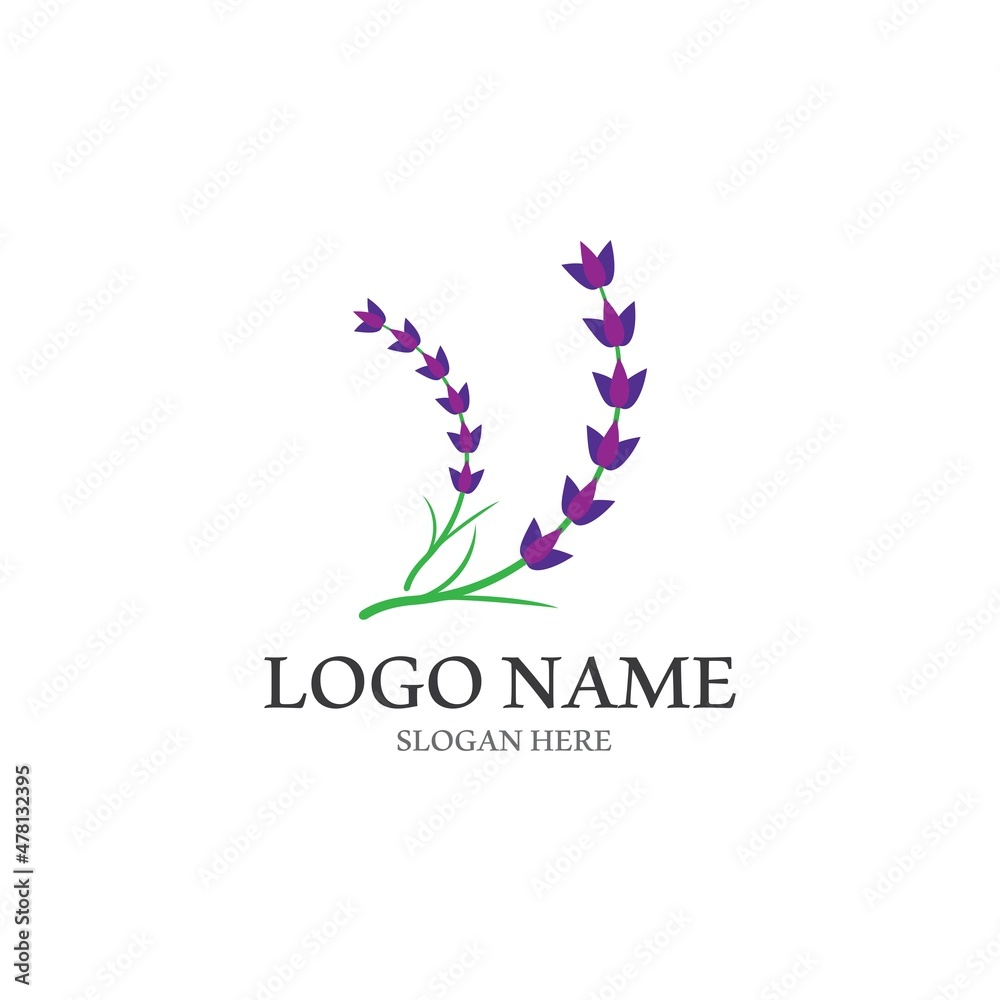 Fototapeta premium Fresh Lavender flower logo vector