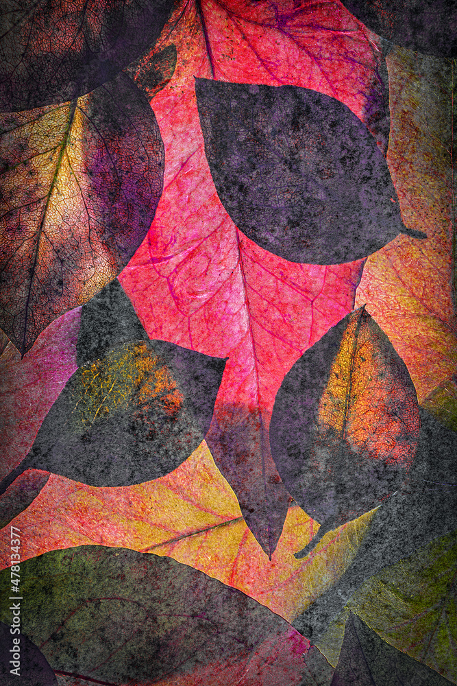 Colourful Abstract Leaf Collage with Texture