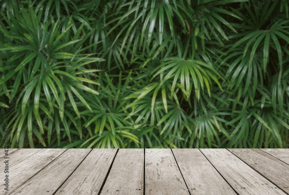 Old wood table or wood floor with blur background of bamboo palm leaf for products display. Old wood table or wood floor with blur background of bamboo palm leaf for products display.