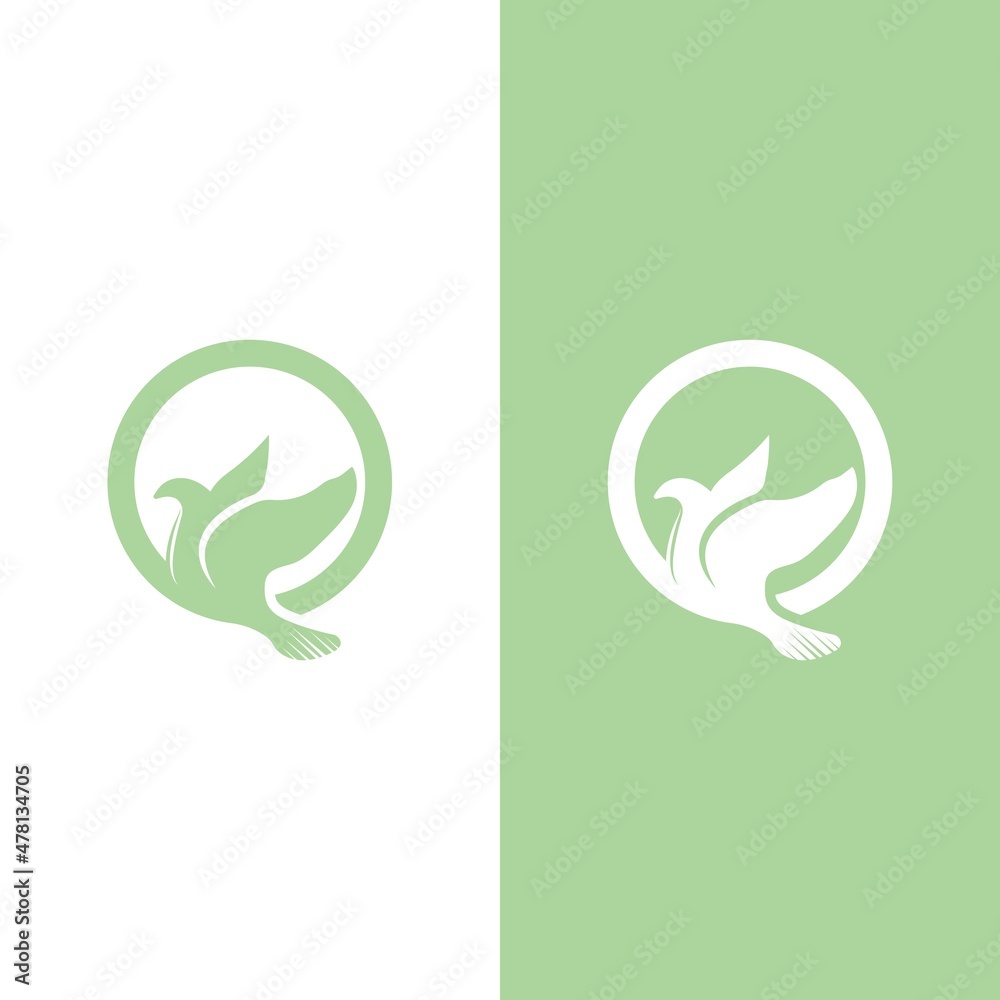 Dove bird logo vector design Dove bird logo vector design