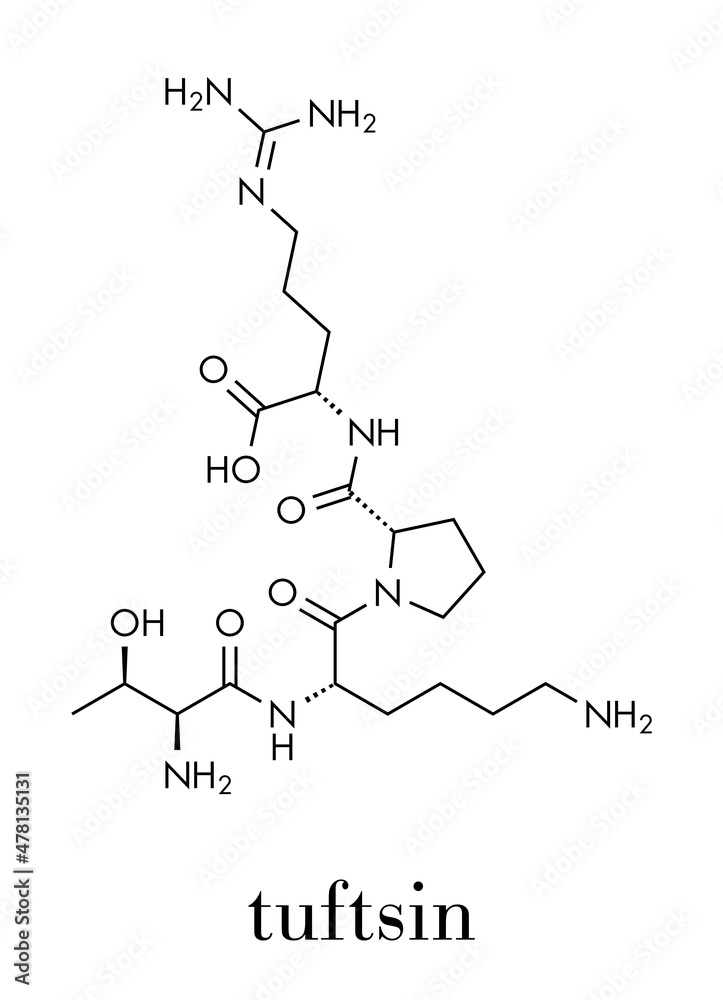 Tuftsin tetrapeptide molecule. Skeletal formula. Tuftsin tetrapeptide molecule. Skeletal formula.