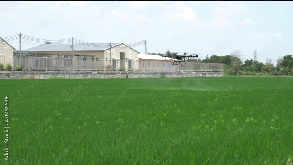 Drones used for crop spraying on famlands in Thailand Drones used for crop spraying on famlands in Thailand