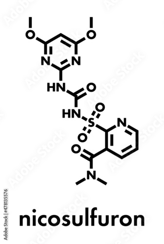 Nicosulfuron systemic herbicide molecule. Skeletal formula. photo